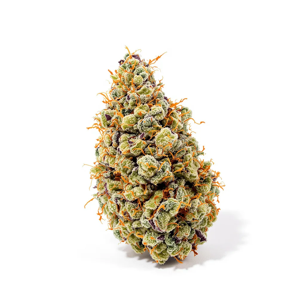 $100 OG cannabis plant in flowering stage — 120-180 cm feminised