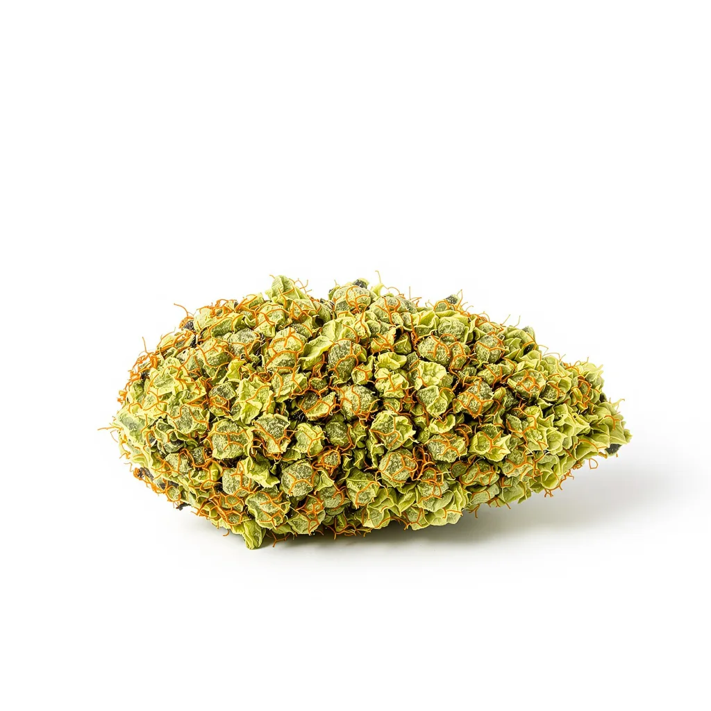 3 Kings cannabis plant in flowering stage — 60-100 cm autoflower