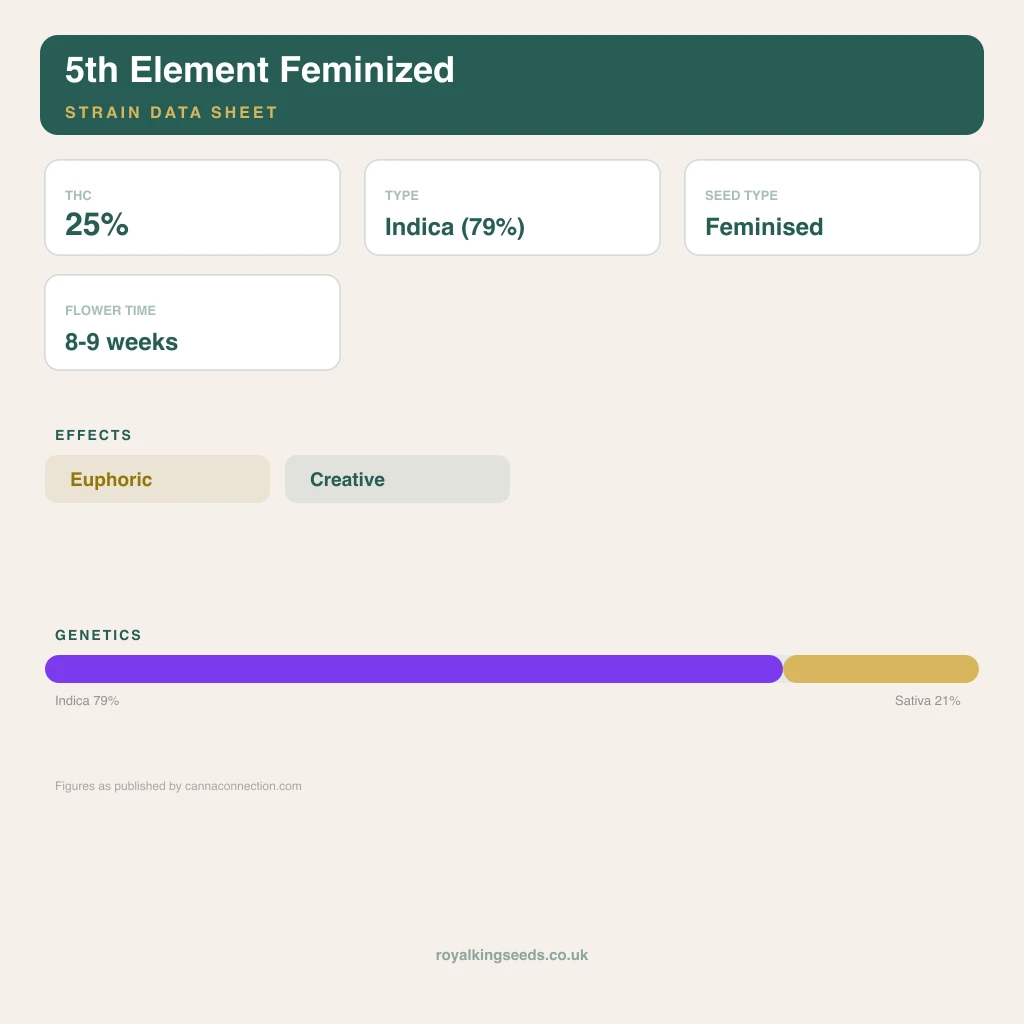 5th Element 79% indica / 21% sativa flower with visible trichomes