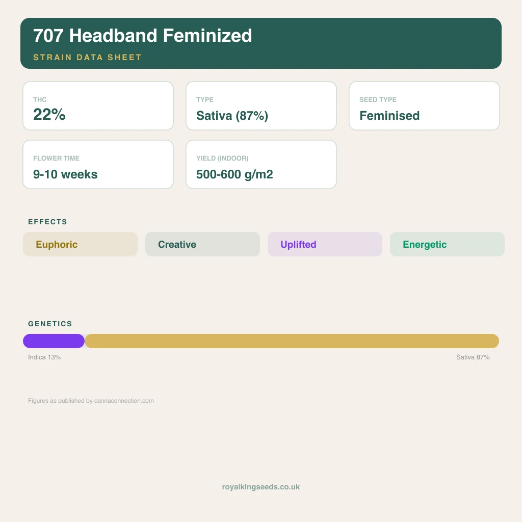 707 Headband 13% indica / 87% sativa flower with visible trichomes