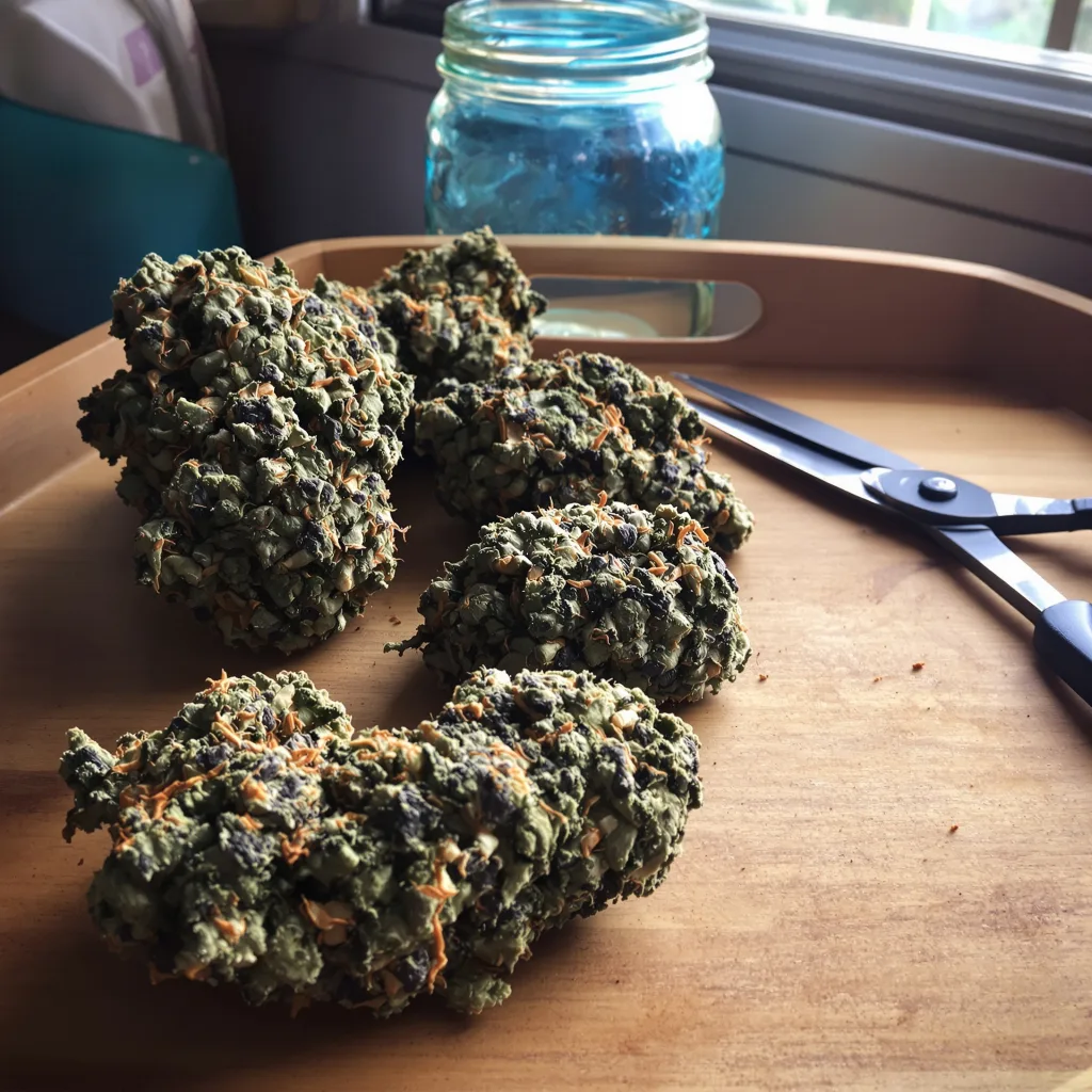 9 Pound Hammer 66% indica / 34% sativa flower with visible trichomes