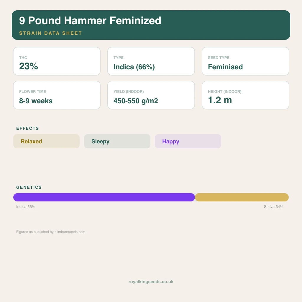 9 Pound Hammer 66% indica / 34% sativa flower with visible trichomes