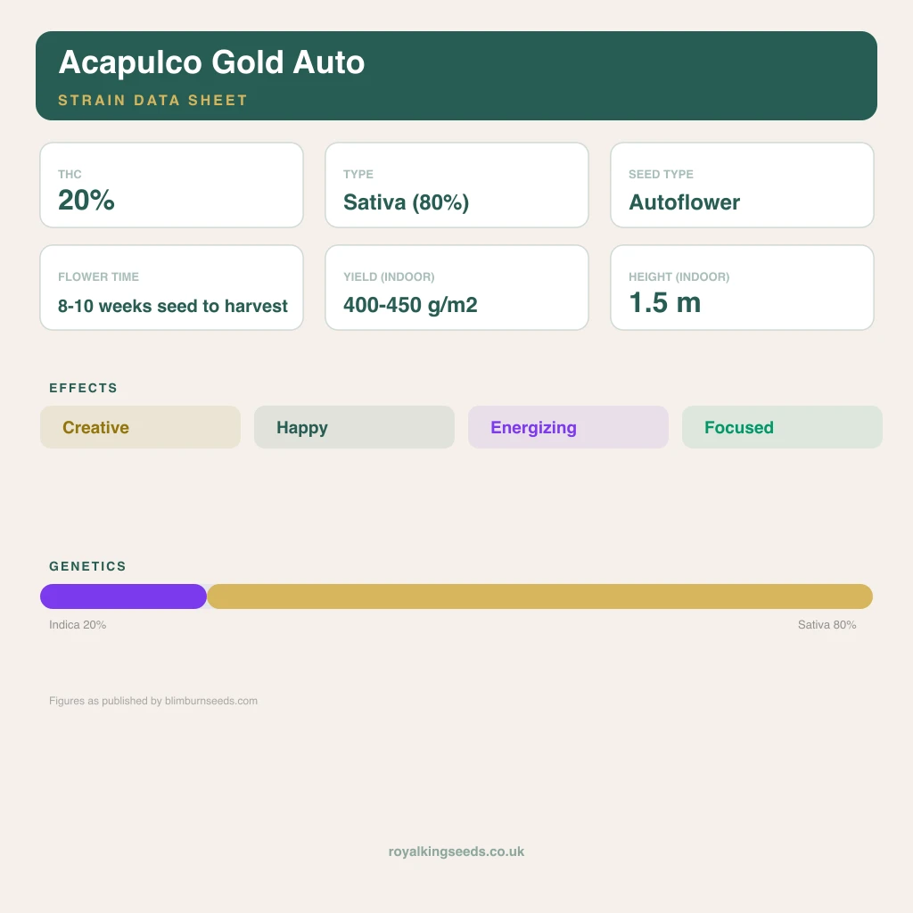 Acapulco Gold 20% indica / 70% sativa flower with visible trichomes