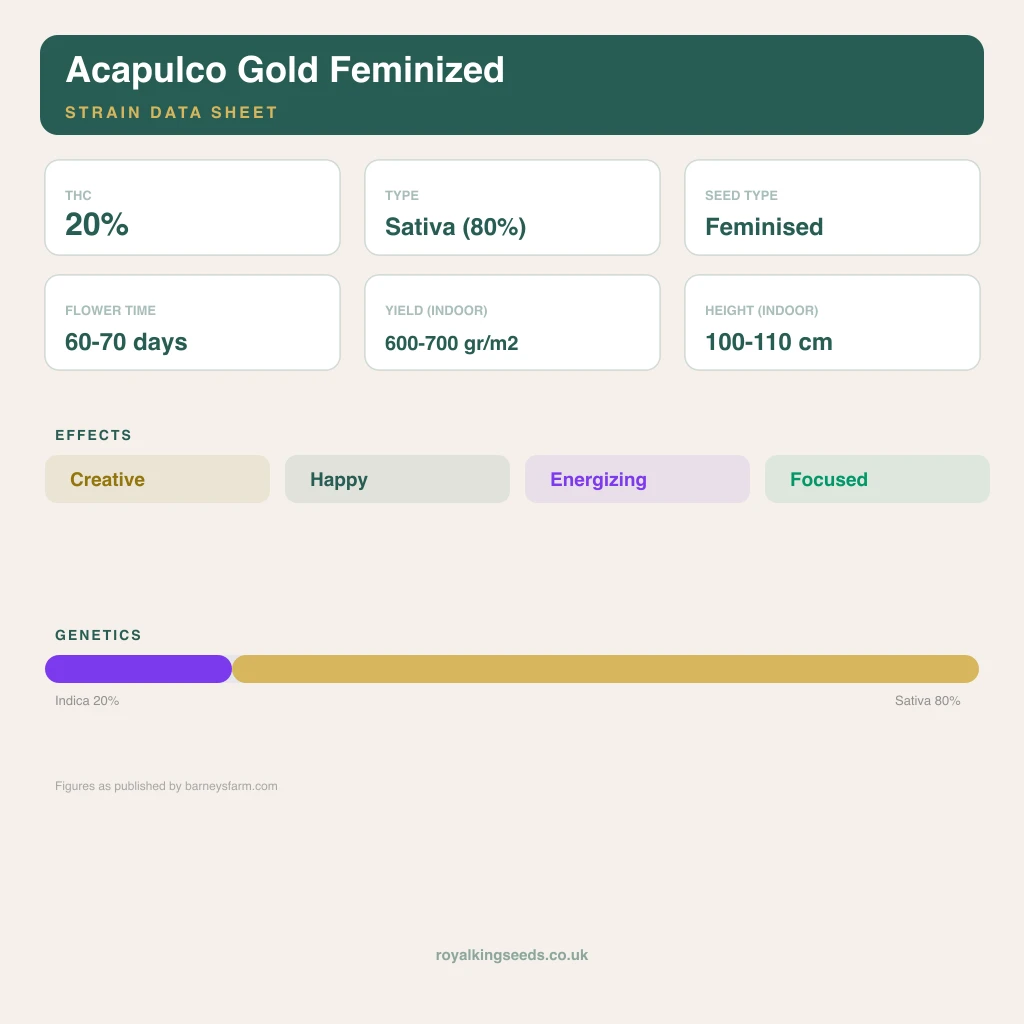 Acapulco Gold 20% indica / 70% sativa flower with visible trichomes