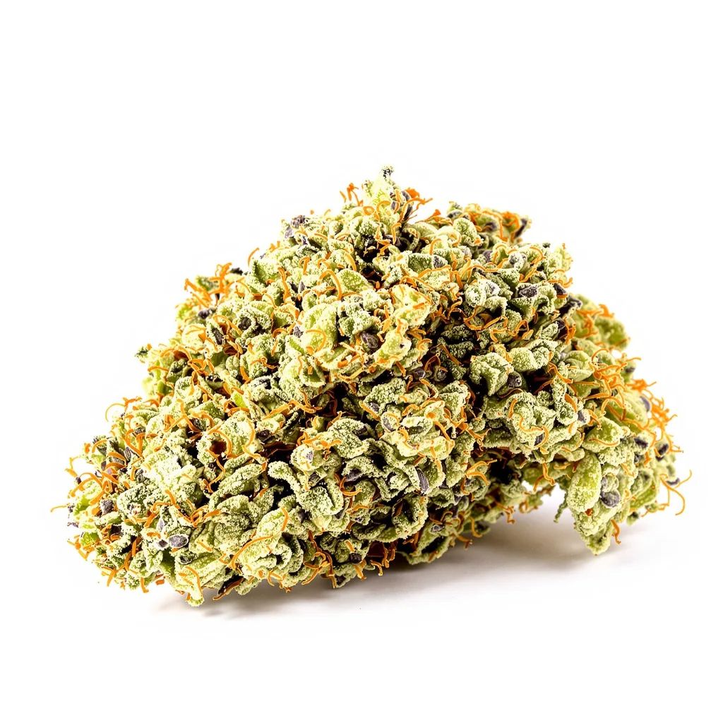 Afcrack cannabis plant in flowering stage — 120-180 cm feminised
