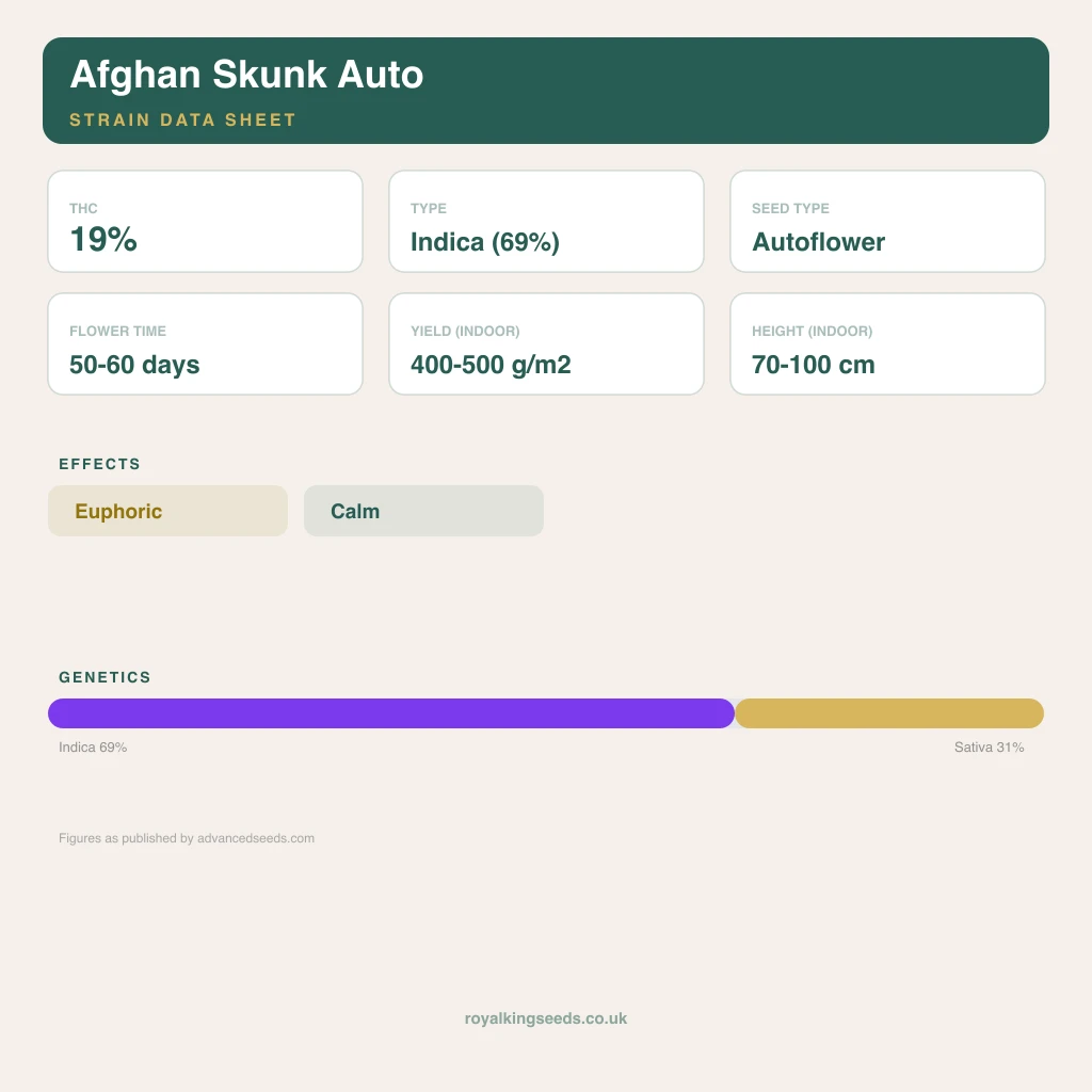 Afghan Skunk 69% indica / 31% sativa flower with visible trichomes