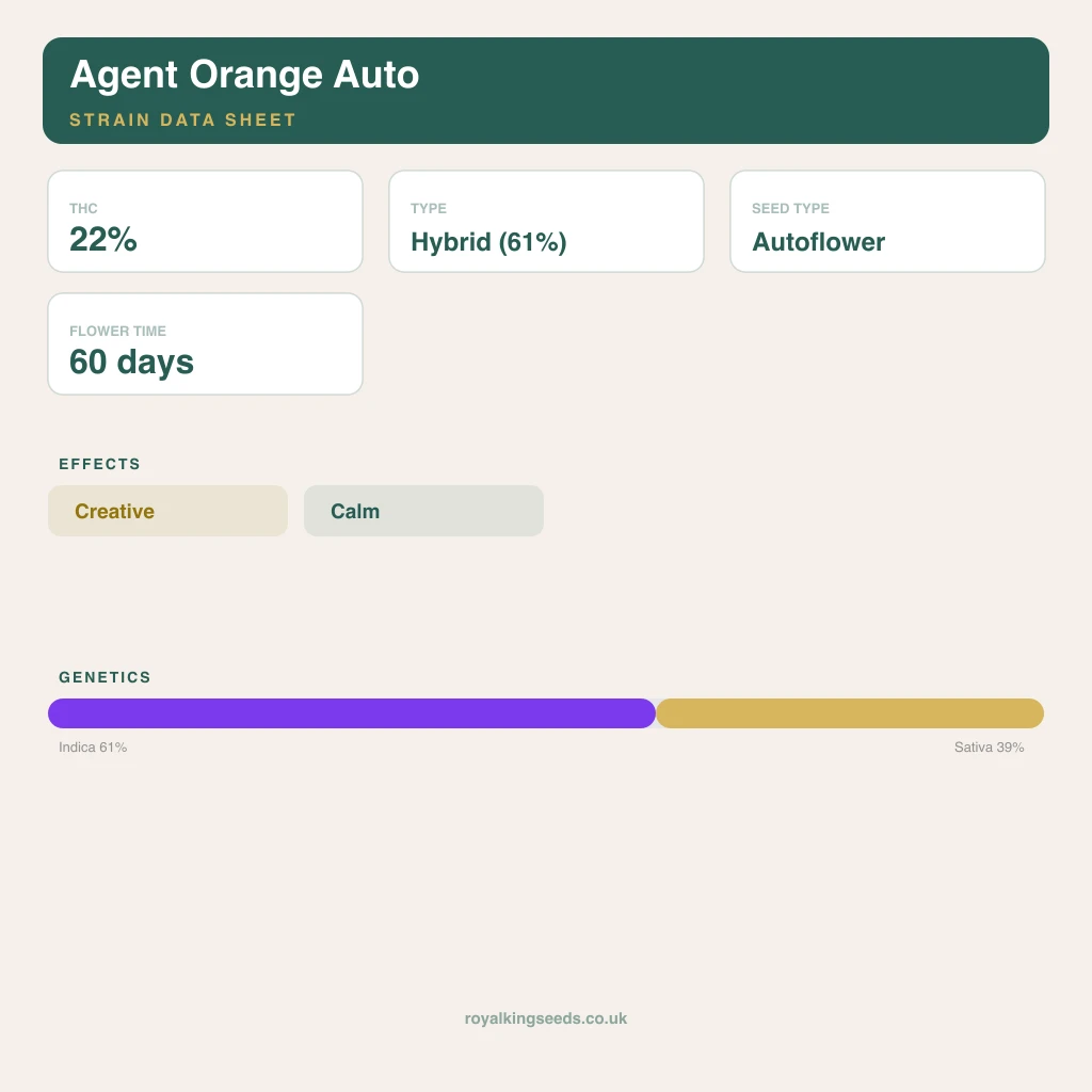 Agent Orange 61% indica / 39% sativa flower with visible trichomes