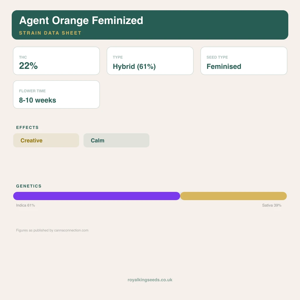 Agent Orange 61% indica / 39% sativa flower with visible trichomes