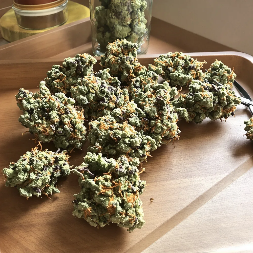 AK-47 48% indica / 52% sativa flower with visible trichomes