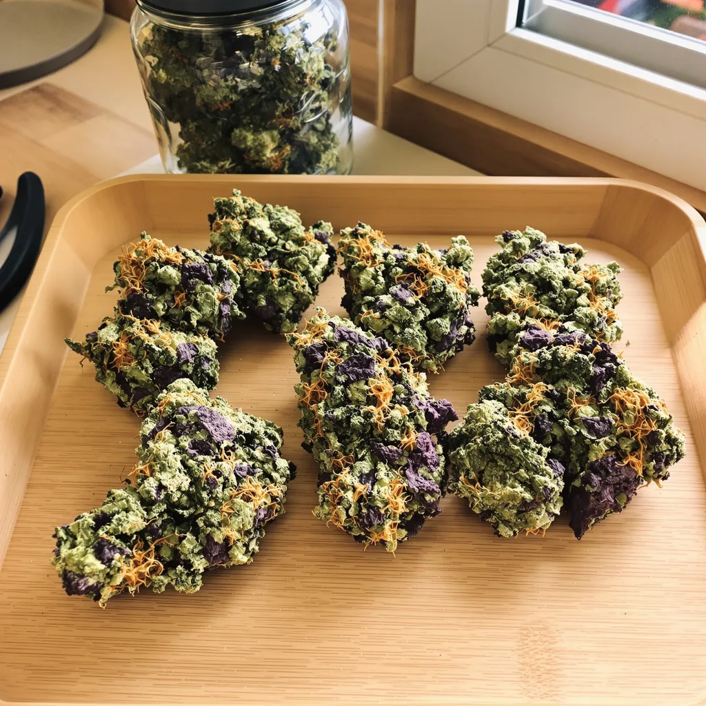 Alien Bubba 79% indica / 21% sativa flower with visible trichomes