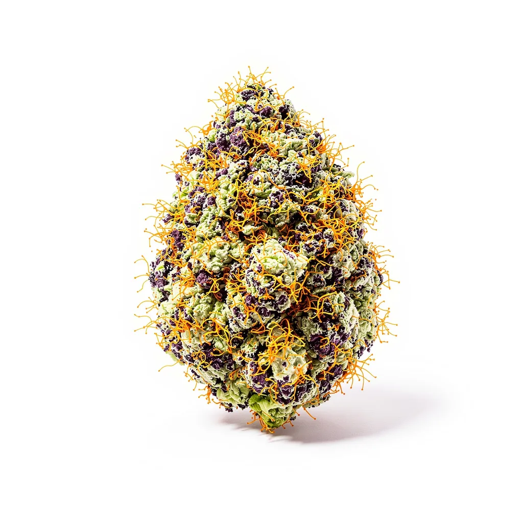 Alien Bubba cannabis plant in flowering stage — 90-130 cm feminised