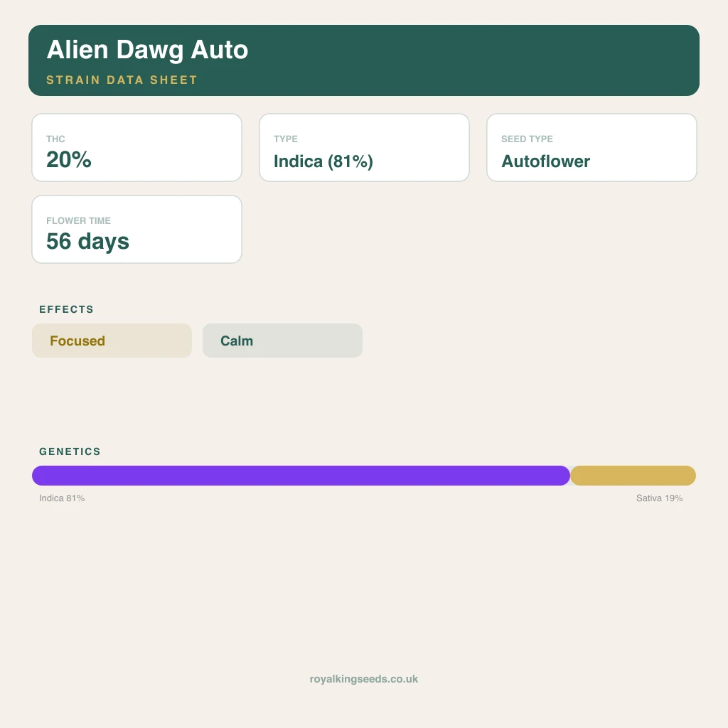 Alien Dawg 81% indica / 19% sativa flower with visible trichomes