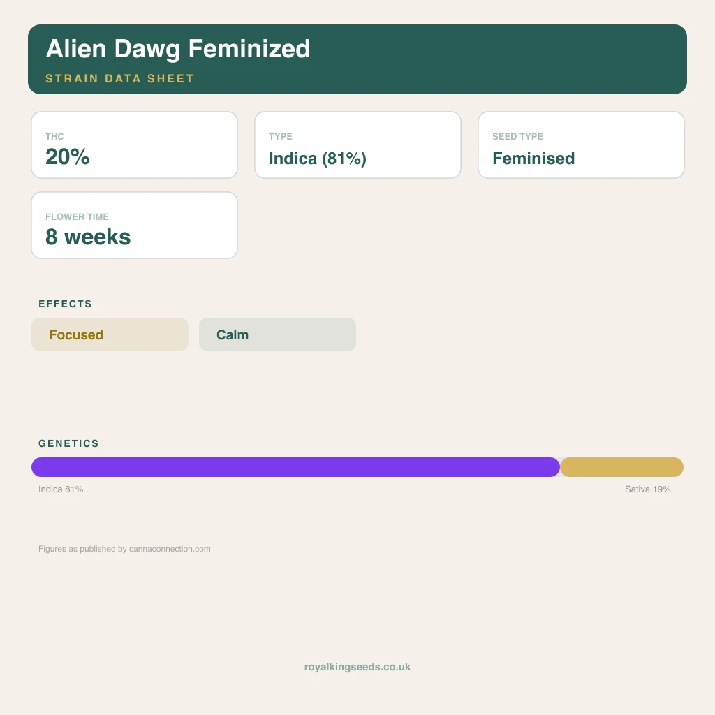 Alien Dawg 81% indica / 19% sativa flower with visible trichomes