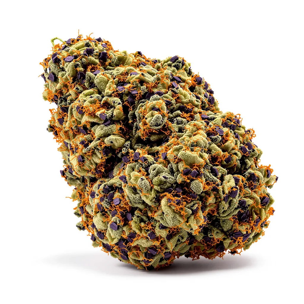 Alien Dawg cannabis plant in flowering stage — 90-130 cm feminised