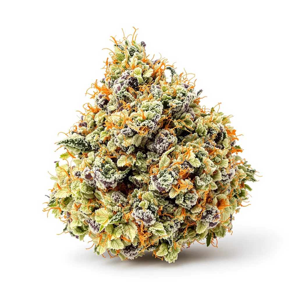 Alien Kush cannabis plant in flowering stage — 60-100 cm autoflower