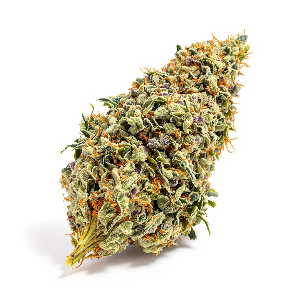 Alien Kush cannabis plant in flowering stage — 120-180 cm feminised