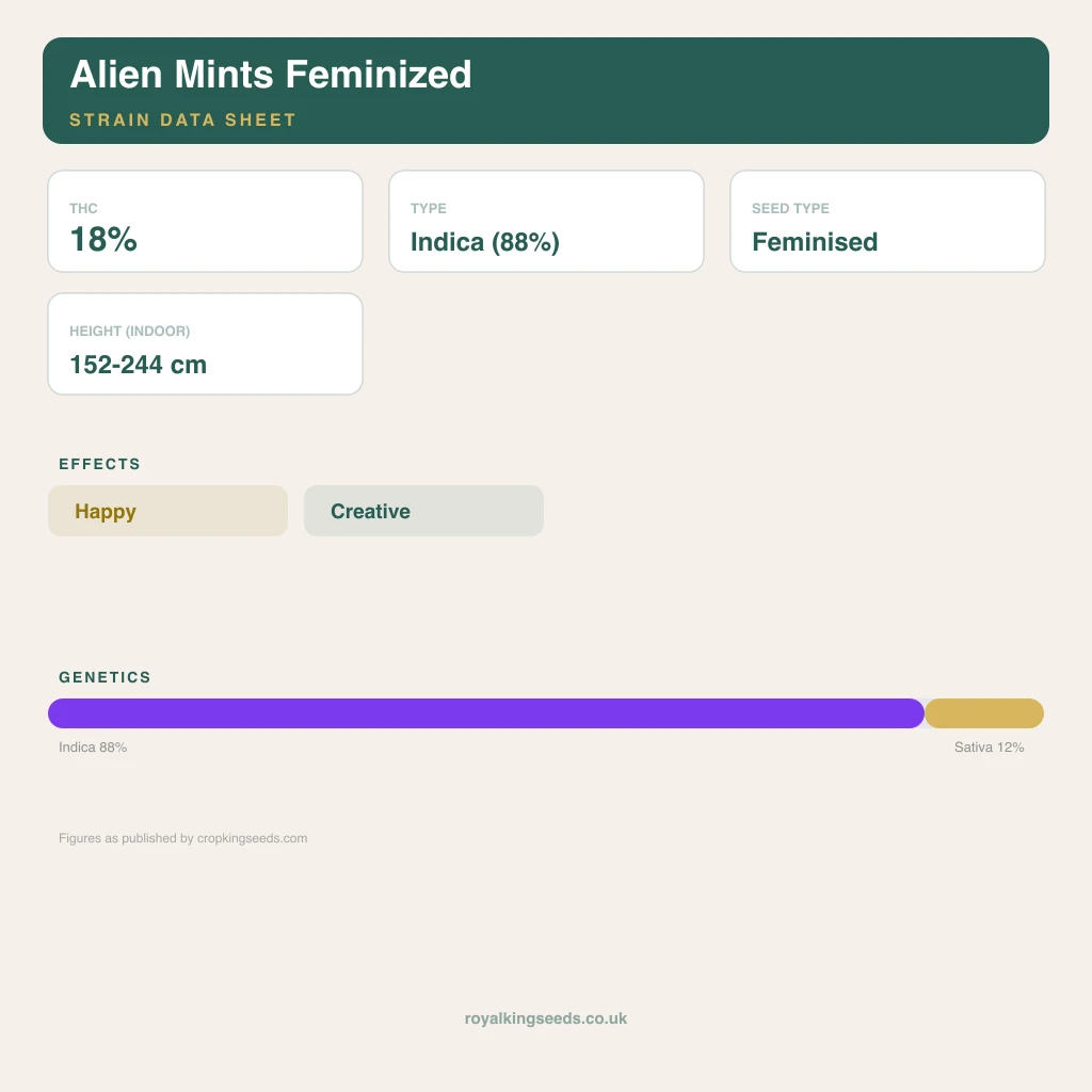 Alien Mints 88% indica / 12% sativa flower with visible trichomes