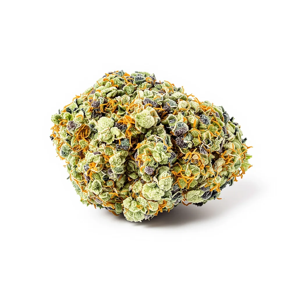Alien Reunion cannabis plant in flowering stage — 60-100 cm autoflower
