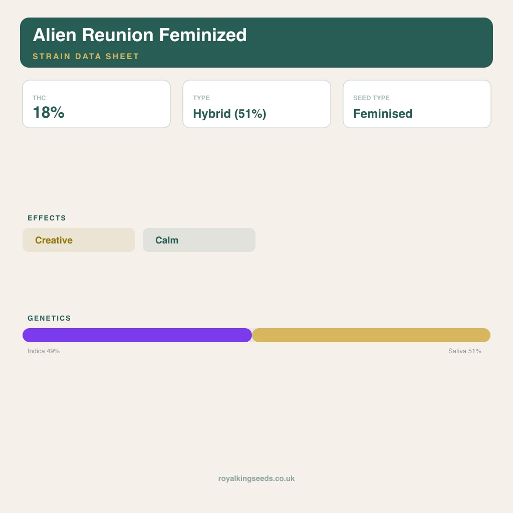Alien Reunion 49% indica / 51% sativa flower with visible trichomes