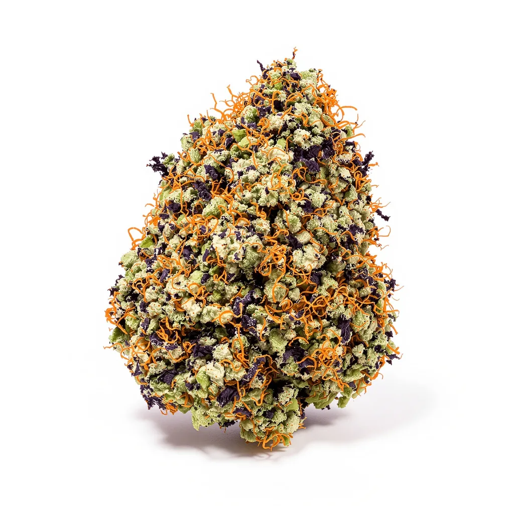 Alien Rift cannabis plant in flowering stage — 60-100 cm autoflower