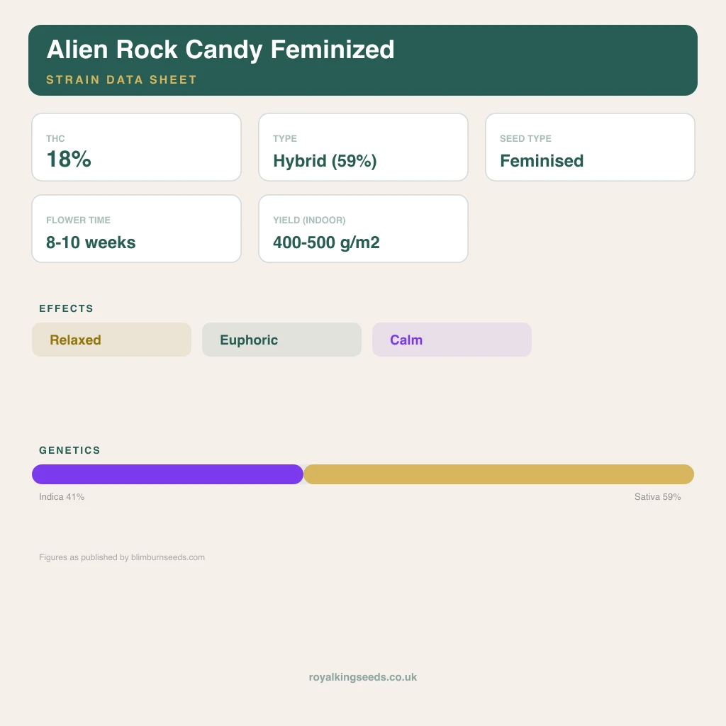 Alien Rock Candy 41% indica / 59% sativa flower with visible trichomes