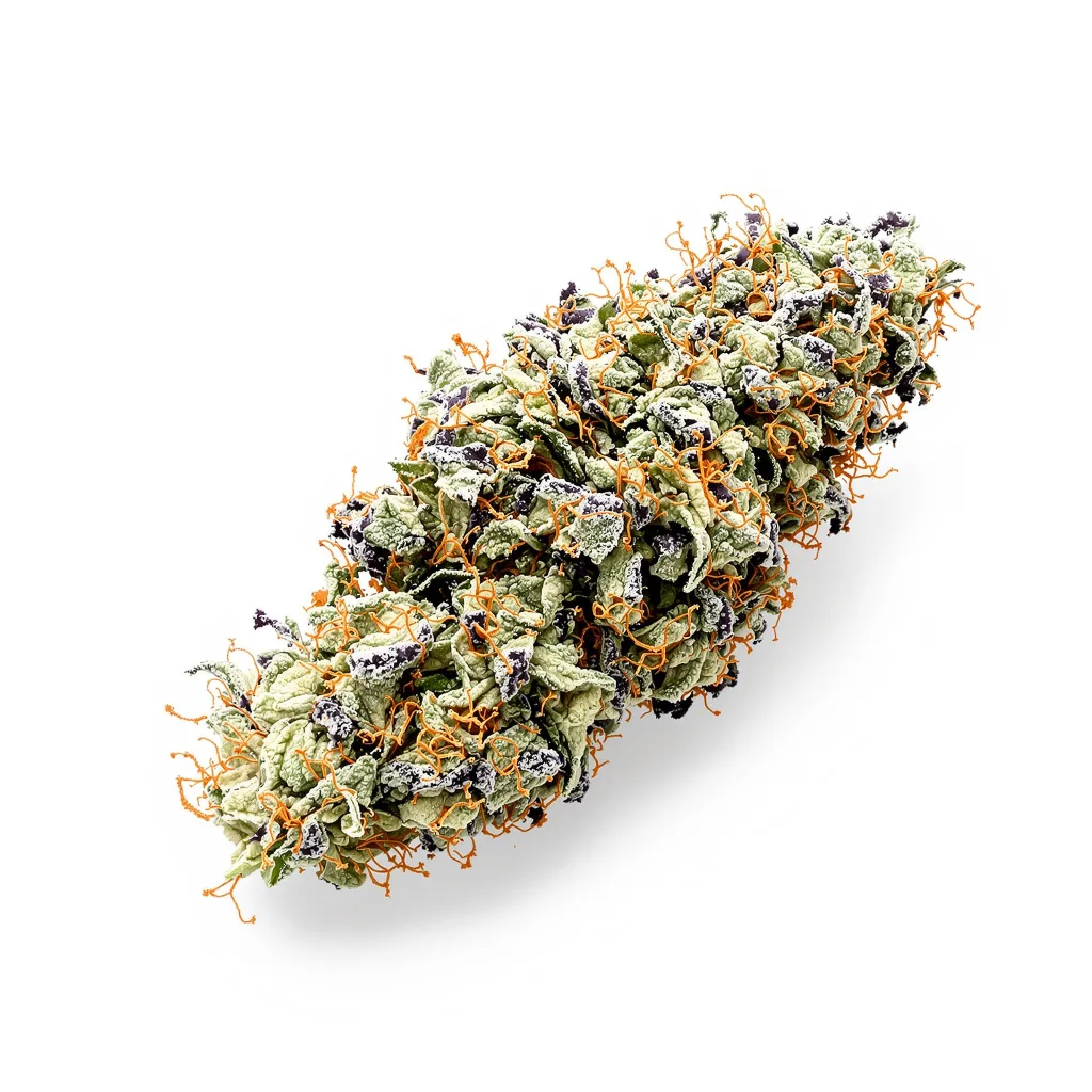 Alien Rock Candy cannabis plant in flowering stage — 120-180 cm feminised