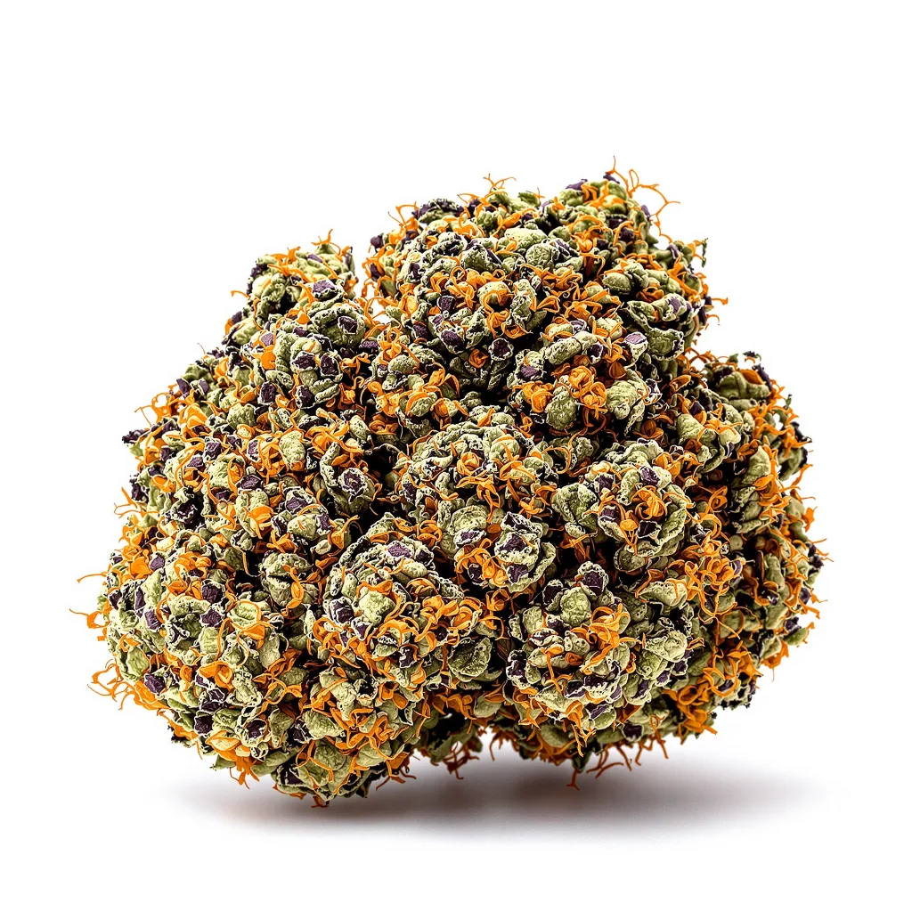 Alien Technology cannabis plant in flowering stage — 90-130 cm feminised