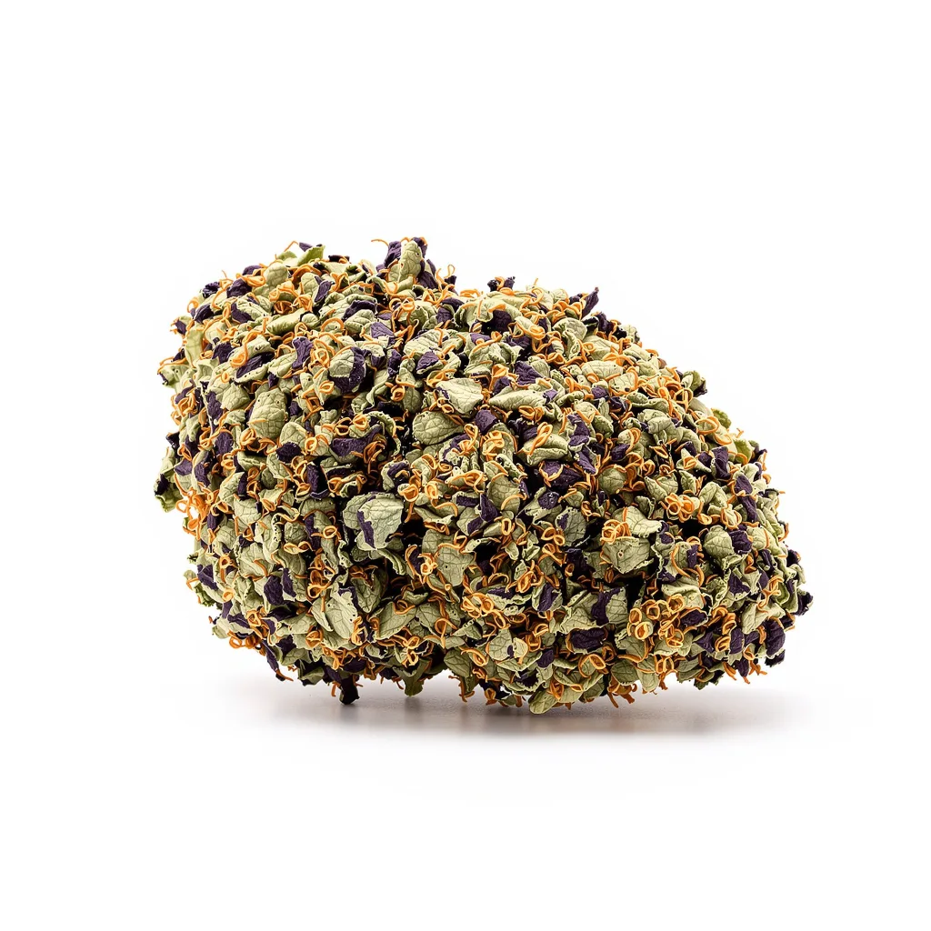 American Kush cannabis plant in flowering stage — 60-100 cm autoflower