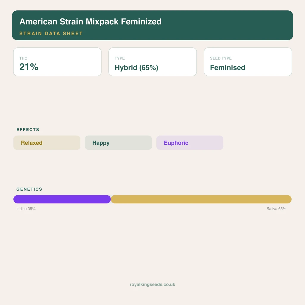 American Strain Mixpack 35% indica / 65% sativa flower with visible trichomes