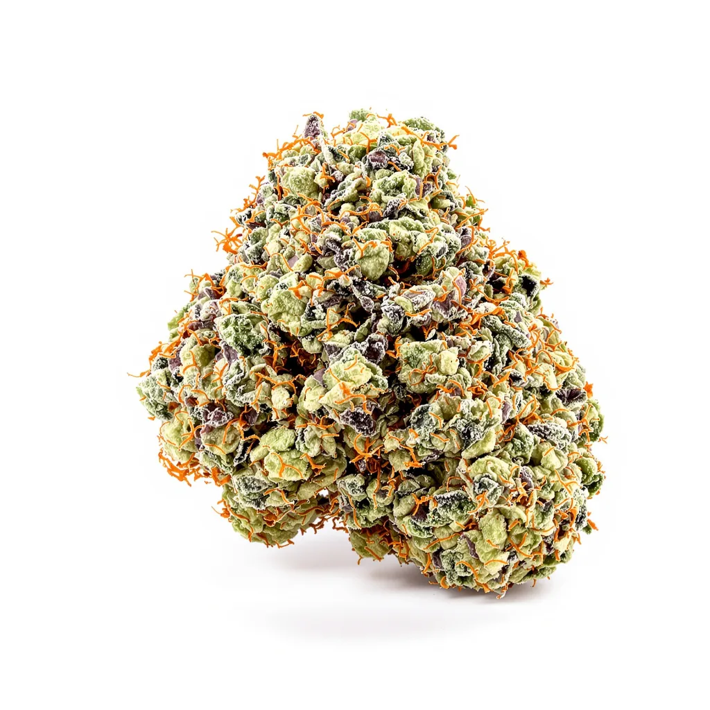 American Strain Mixpack cannabis plant in flowering stage — 120-180 cm feminised