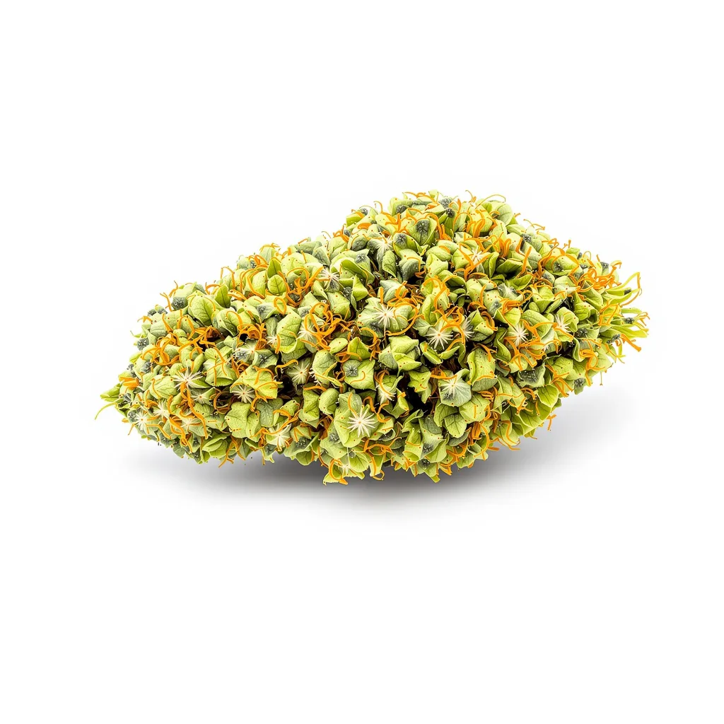 Amherst Diesel cannabis plant in flowering stage — 150-200 cm feminised