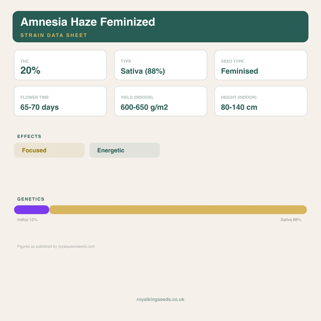 Amnesia Haze 12% indica / 88% sativa flower with visible trichomes