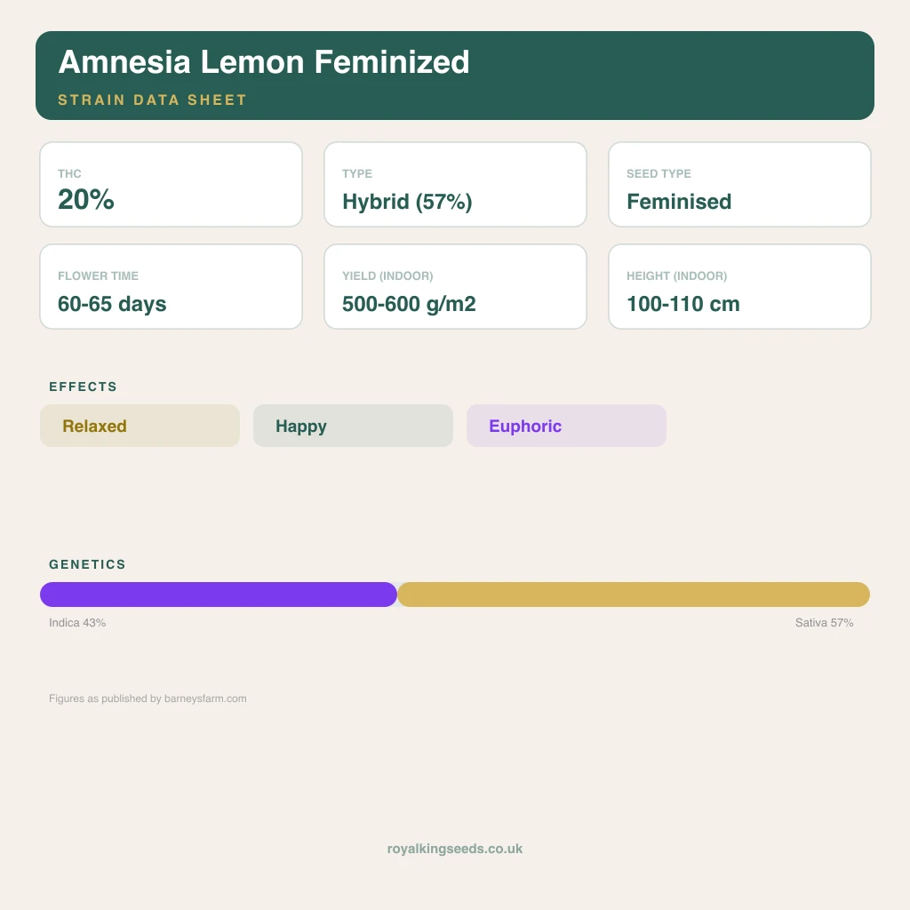 Amnesia Lemon 43% indica / 57% sativa flower with visible trichomes
