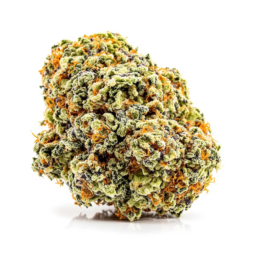 Apple Crisp cannabis plant in flowering stage — 120-180 cm feminised