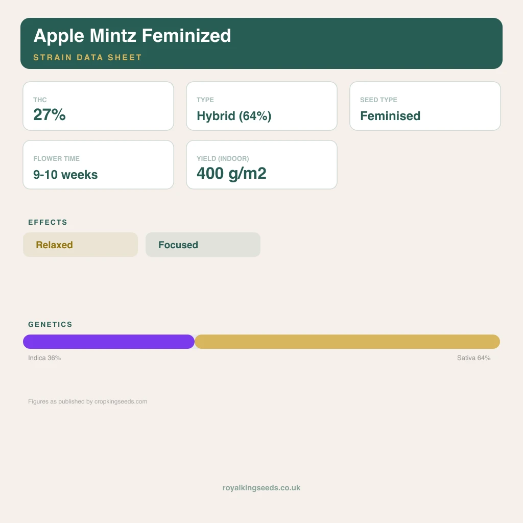 Apple Mintz 36% indica / 64% sativa flower with visible trichomes
