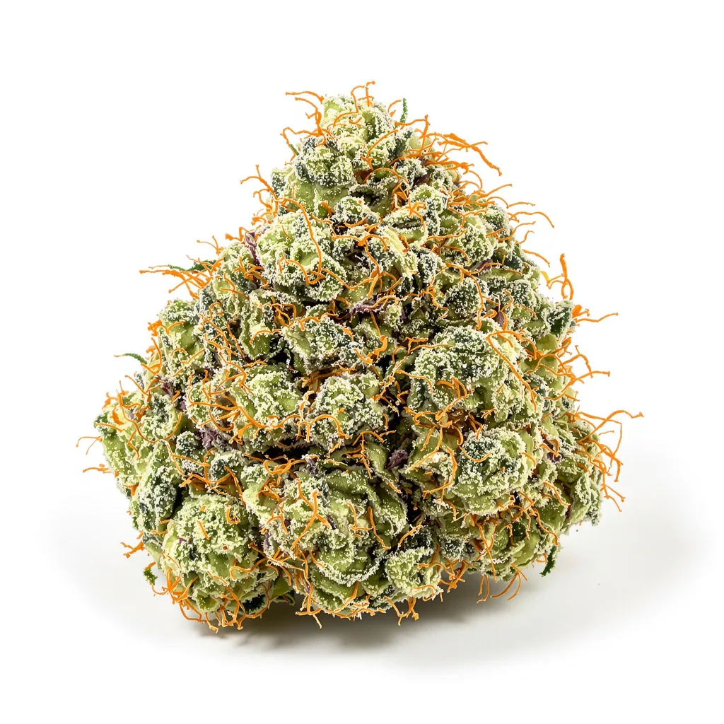 Apple Mintz cannabis plant in flowering stage — 120-180 cm feminised