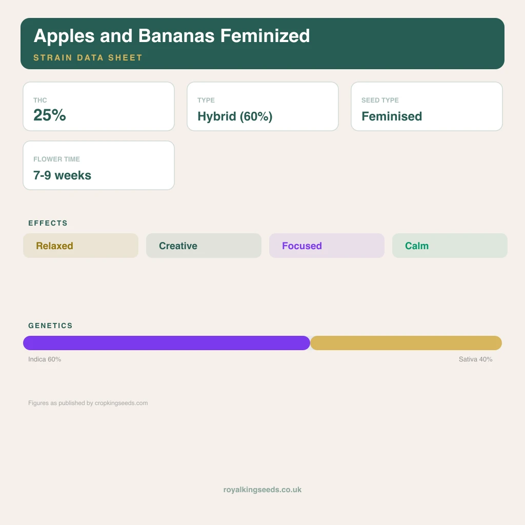 Apples and Bananas 60% indica / 40% sativa flower with visible trichomes