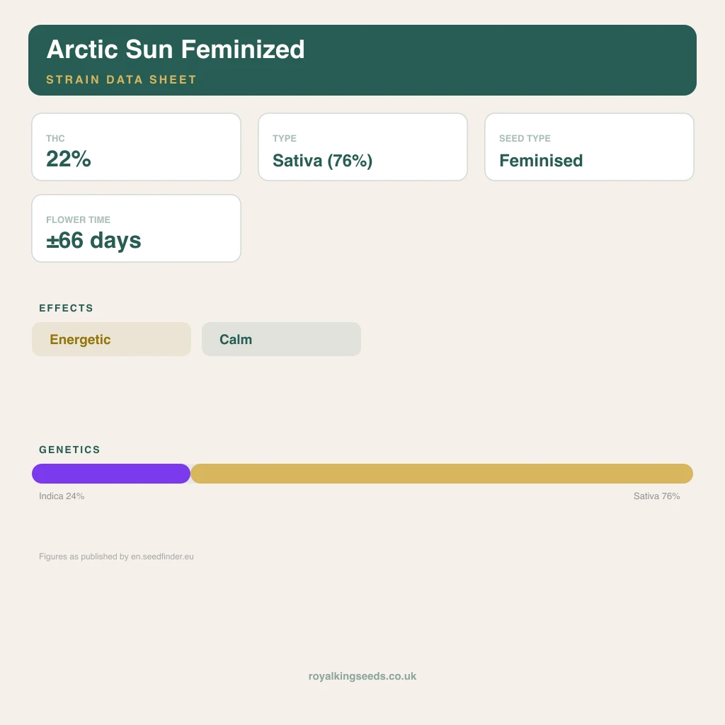 Arctic Sun 24% indica / 76% sativa flower with visible trichomes