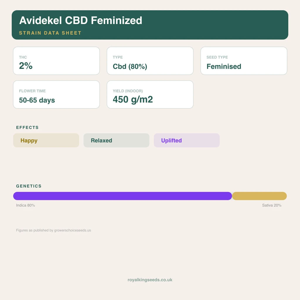 Avidekel CBD 80% indica / 20% sativa flower with visible trichomes