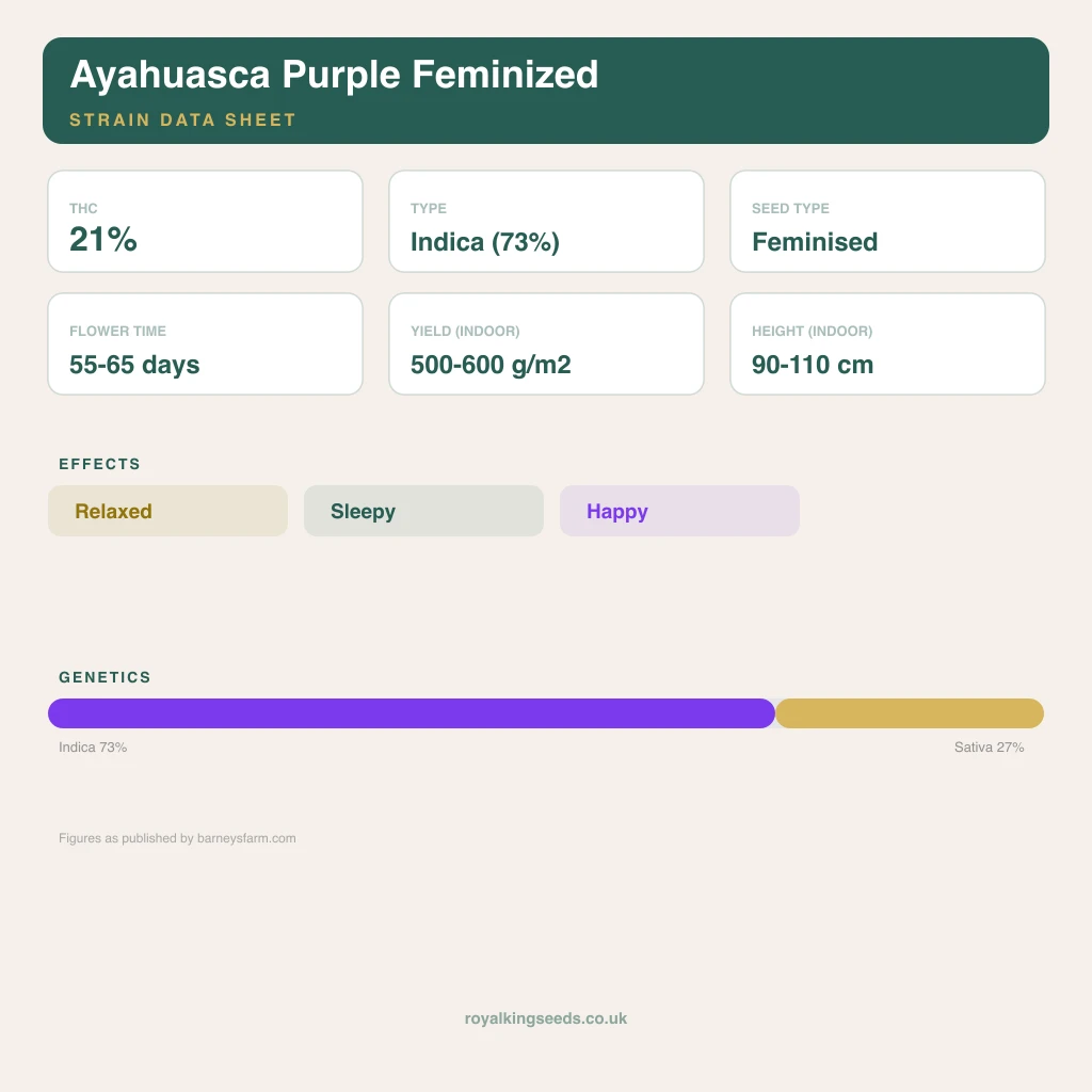 Ayahuasca Purple 73% indica / 27% sativa flower with visible trichomes