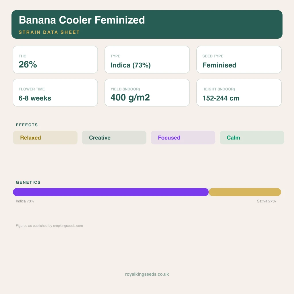 Banana Cooler 73% indica / 27% sativa flower with visible trichomes
