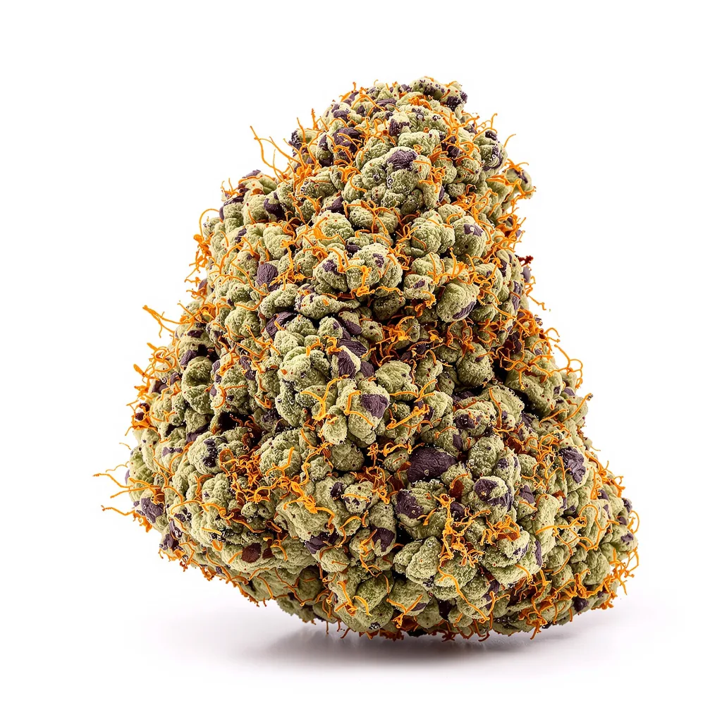 Banana Cream OG cannabis plant in flowering stage — 90-130 cm feminised