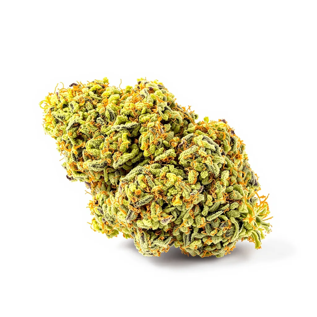 Bandana cannabis plant in flowering stage — 150-200 cm feminised