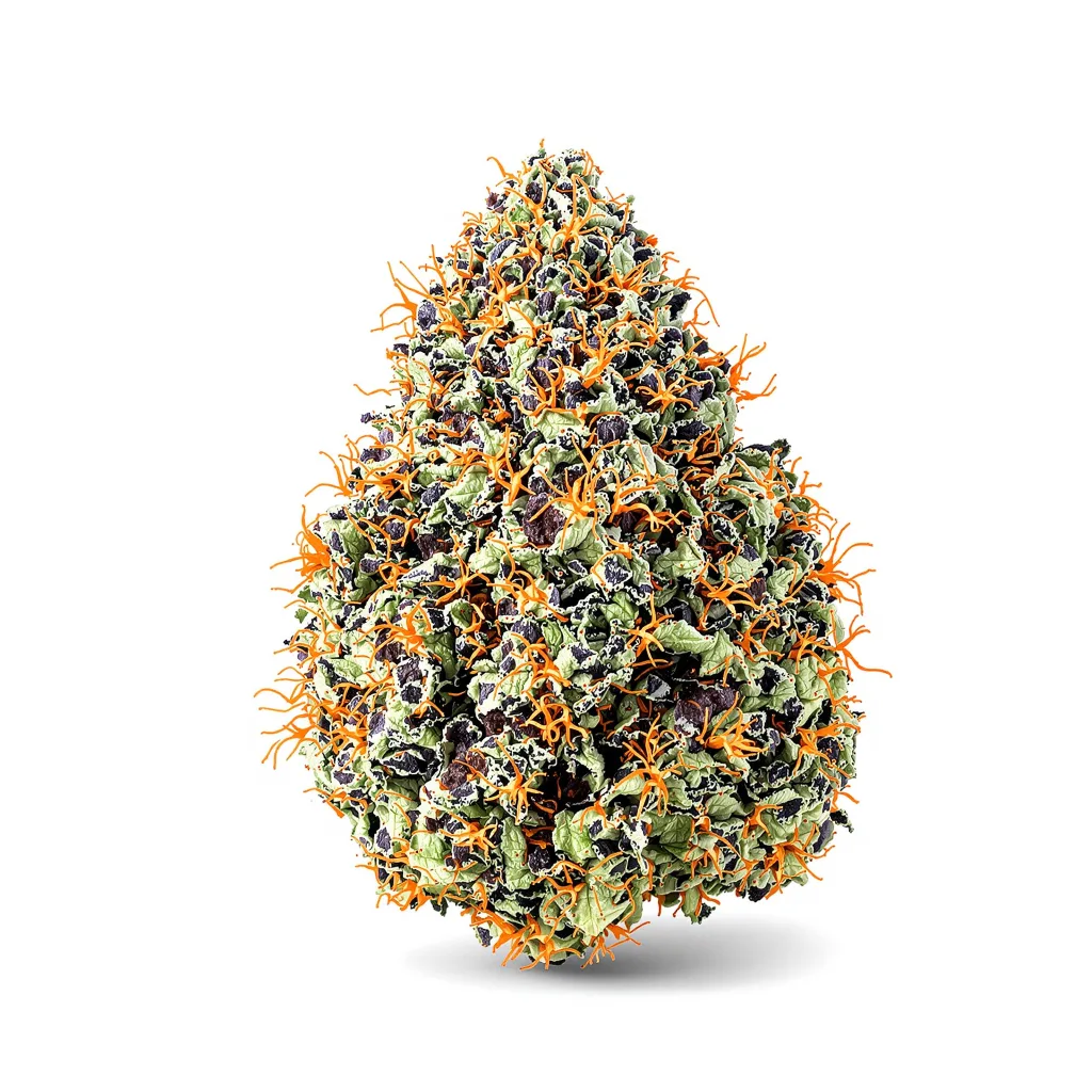 Batman OG cannabis plant in flowering stage — 90-130 cm feminised