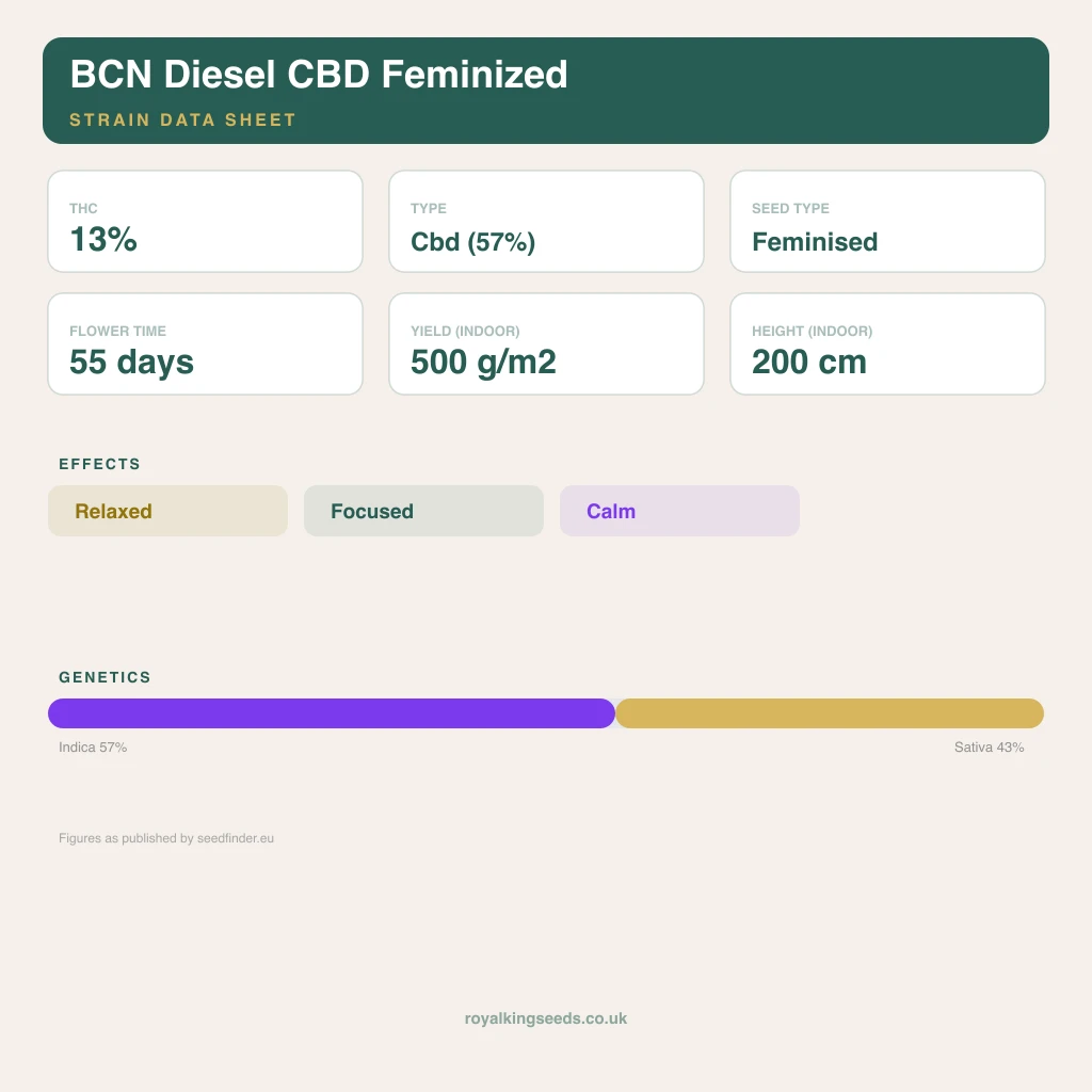 BCN Diesel CBD 57% indica / 43% sativa flower with visible trichomes