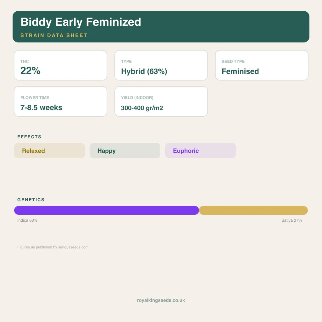 Biddy Early 63% indica / 37% sativa flower with visible trichomes