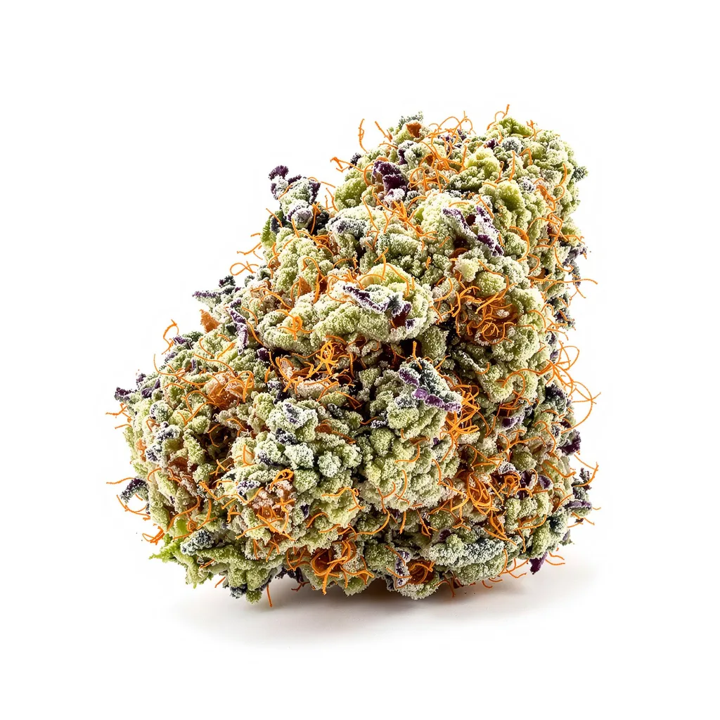 Big Band cannabis plant in flowering stage — 60-100 cm autoflower