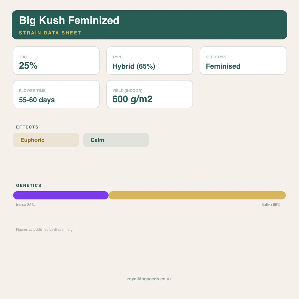 Big Kush 35% indica / 65% sativa flower with visible trichomes