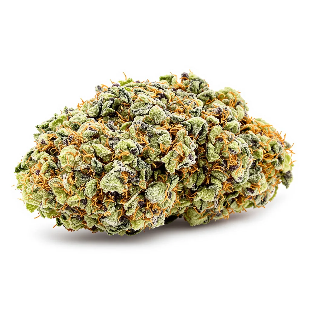 Big Smooth cannabis plant in flowering stage — 120-180 cm feminised