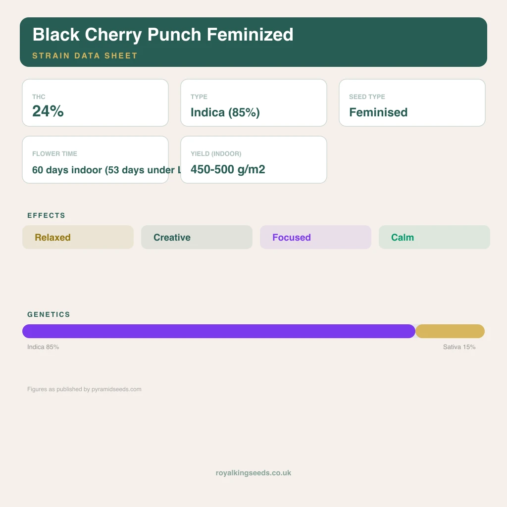 Black Cherry Punch 85% indica / 15% sativa flower with visible trichomes
